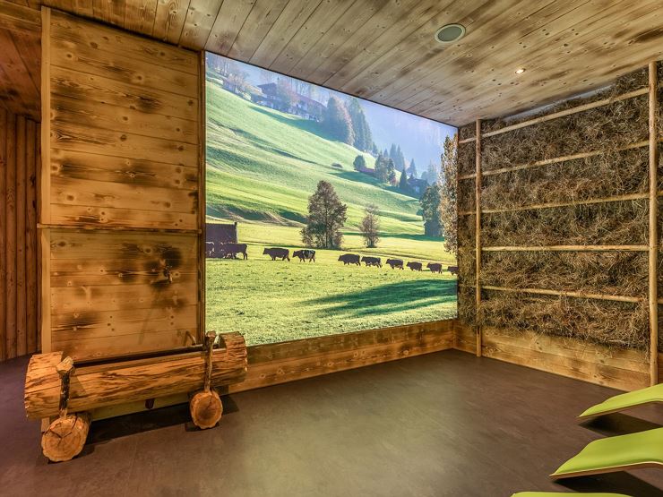 Das Sieben Alpenluftionisationsraum 2 c fotoschmie